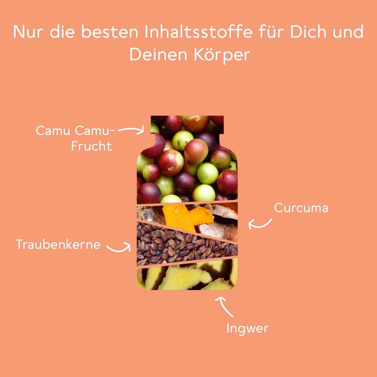 Bitter Immun Komplex - Image 4