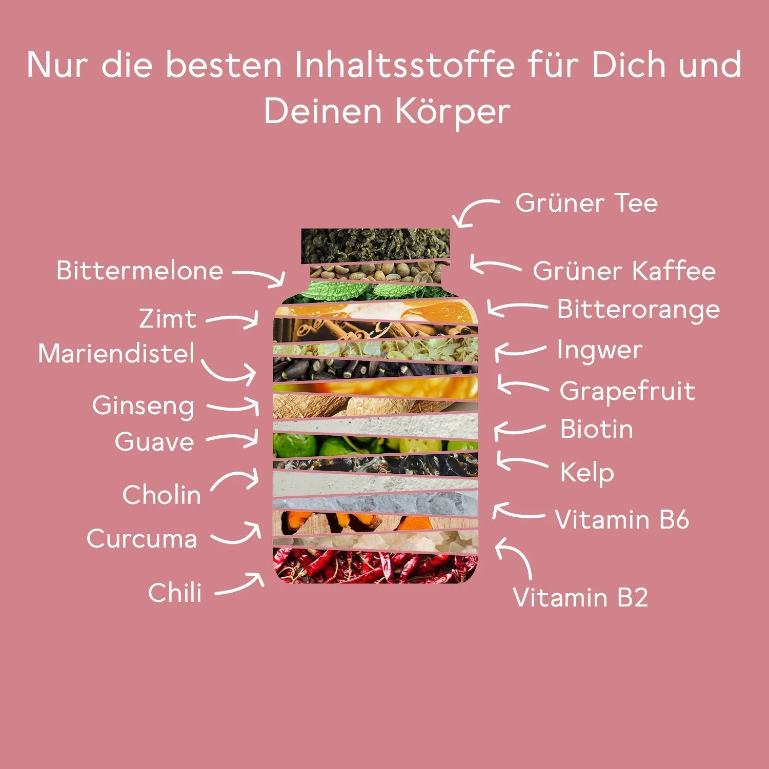 Bitter Stoffwechsel* Komplex 3er Set - Image 5