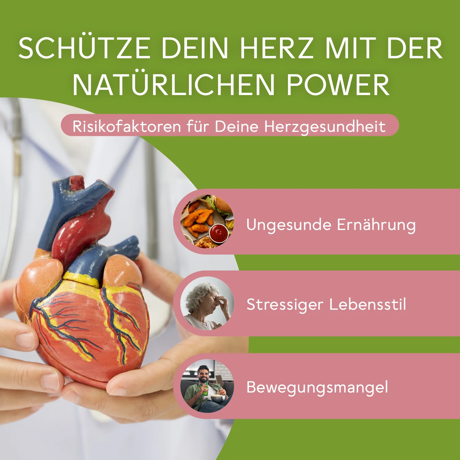 BitterLiebe Cholesterin* Komplex - 3er Set - Image 3