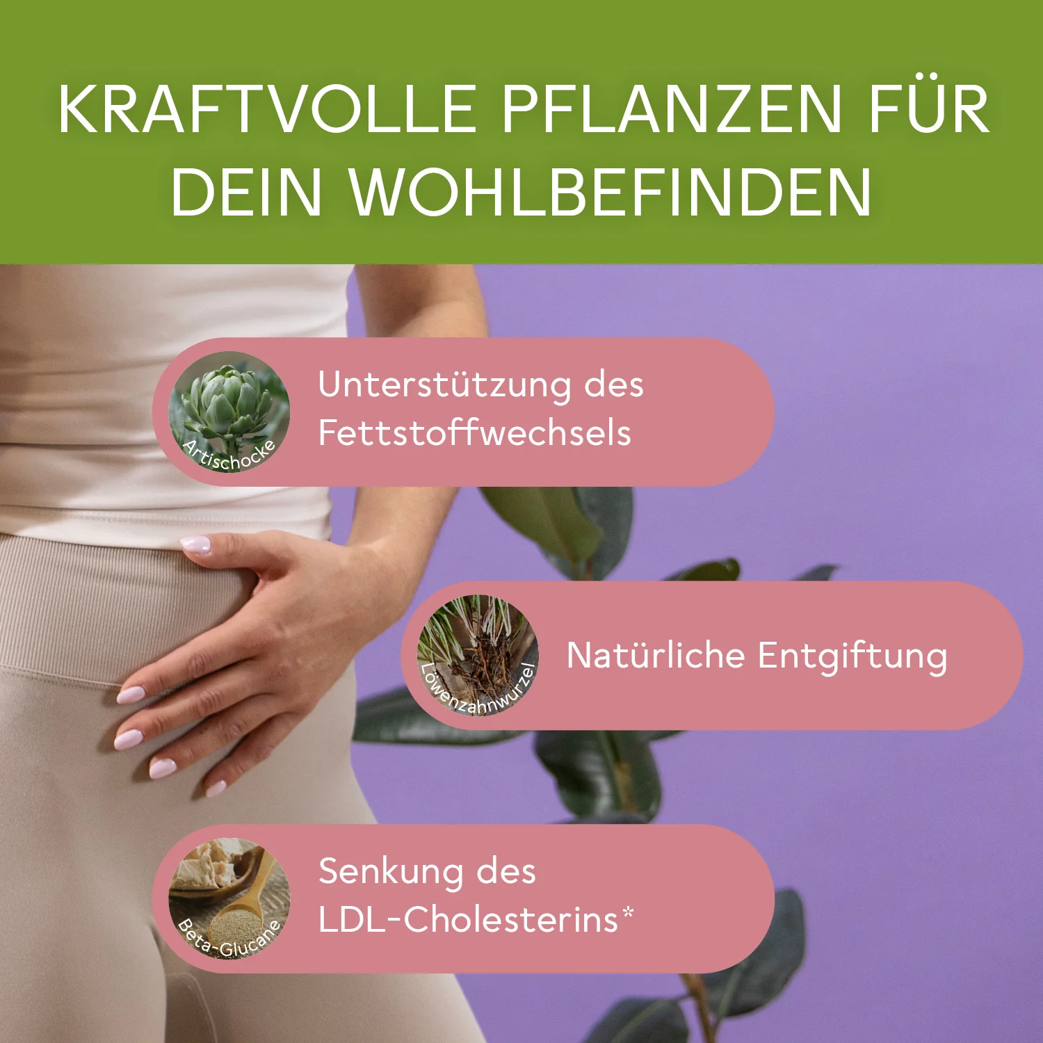 BitterLiebe Cholesterin* Komplex - 3er Set - Image 5