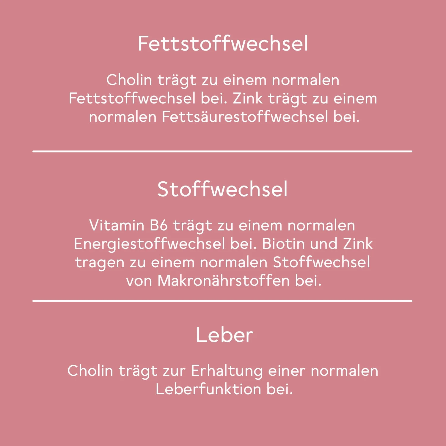 Fitness-Paket - Image 6