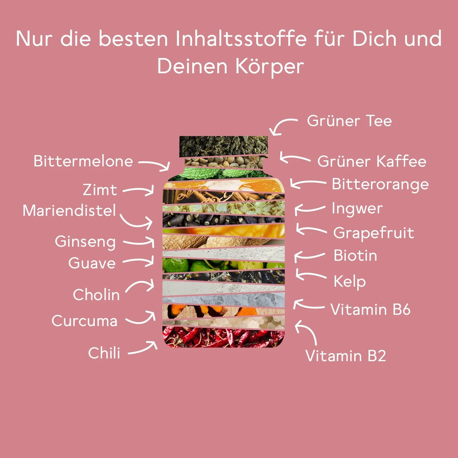 Bitter Stoffwechsel* Komplex 3er Set - Image 5
