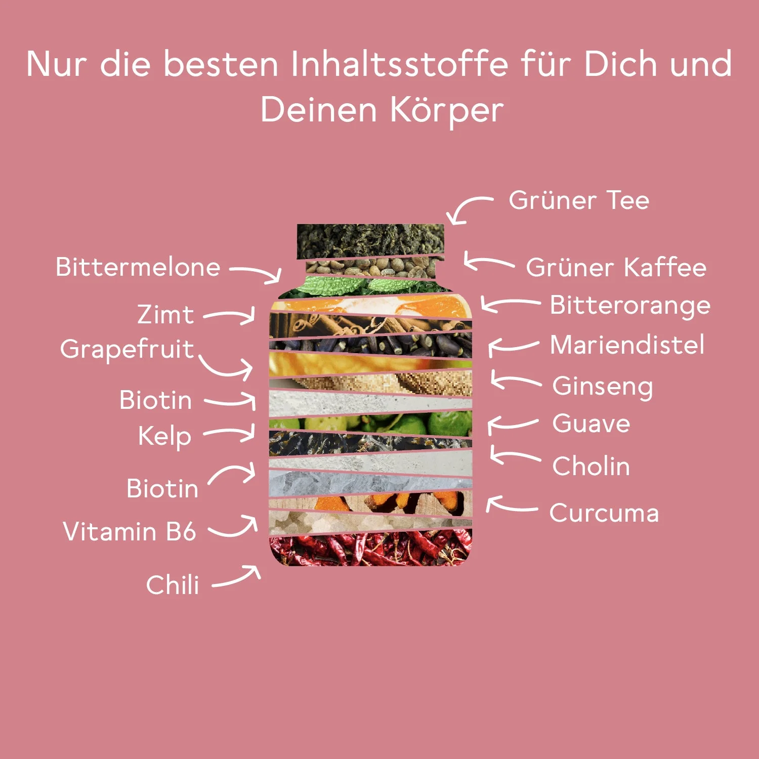 Bitter Stoffwechsel* Komplex - Image 6