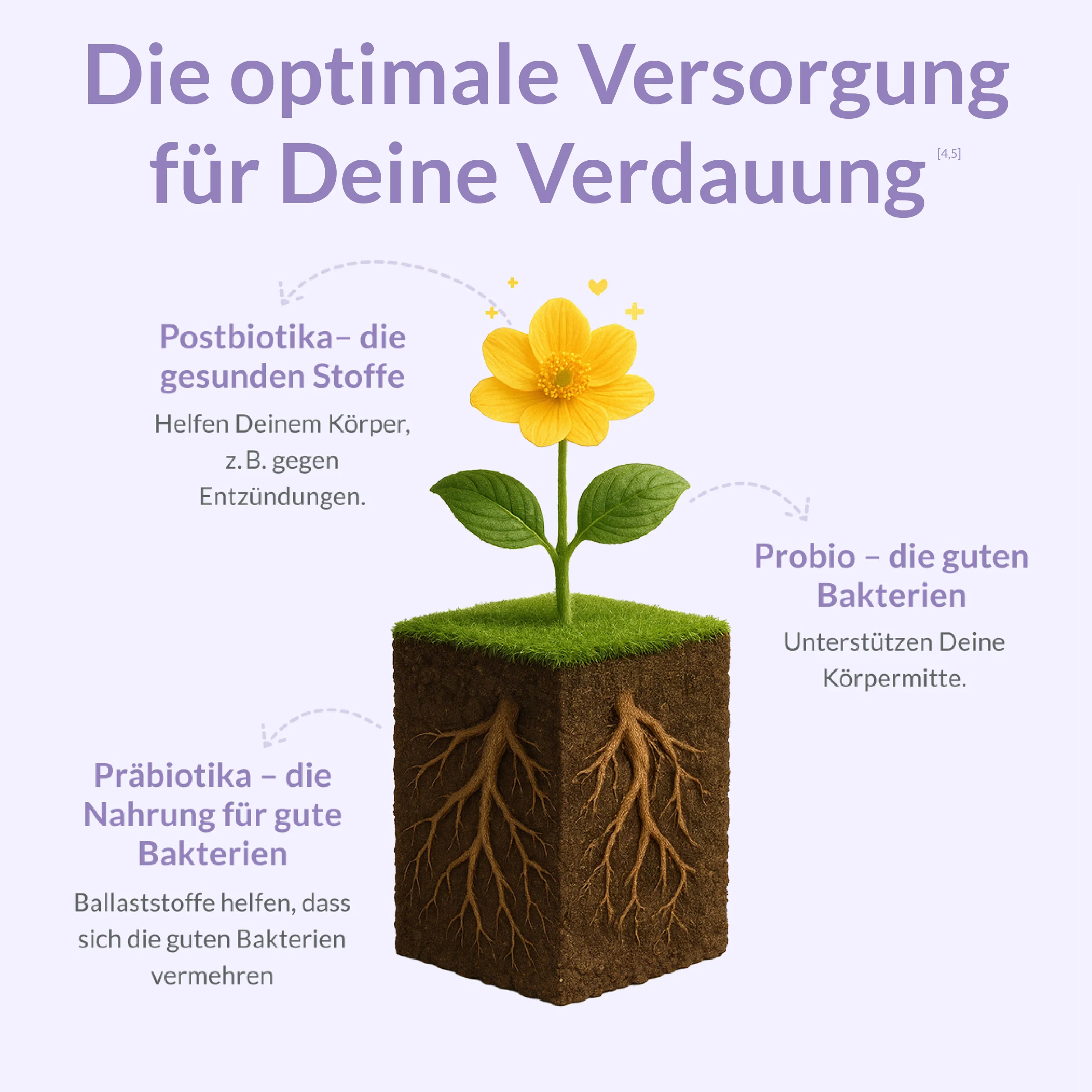 Postbio Komplex - Image 4