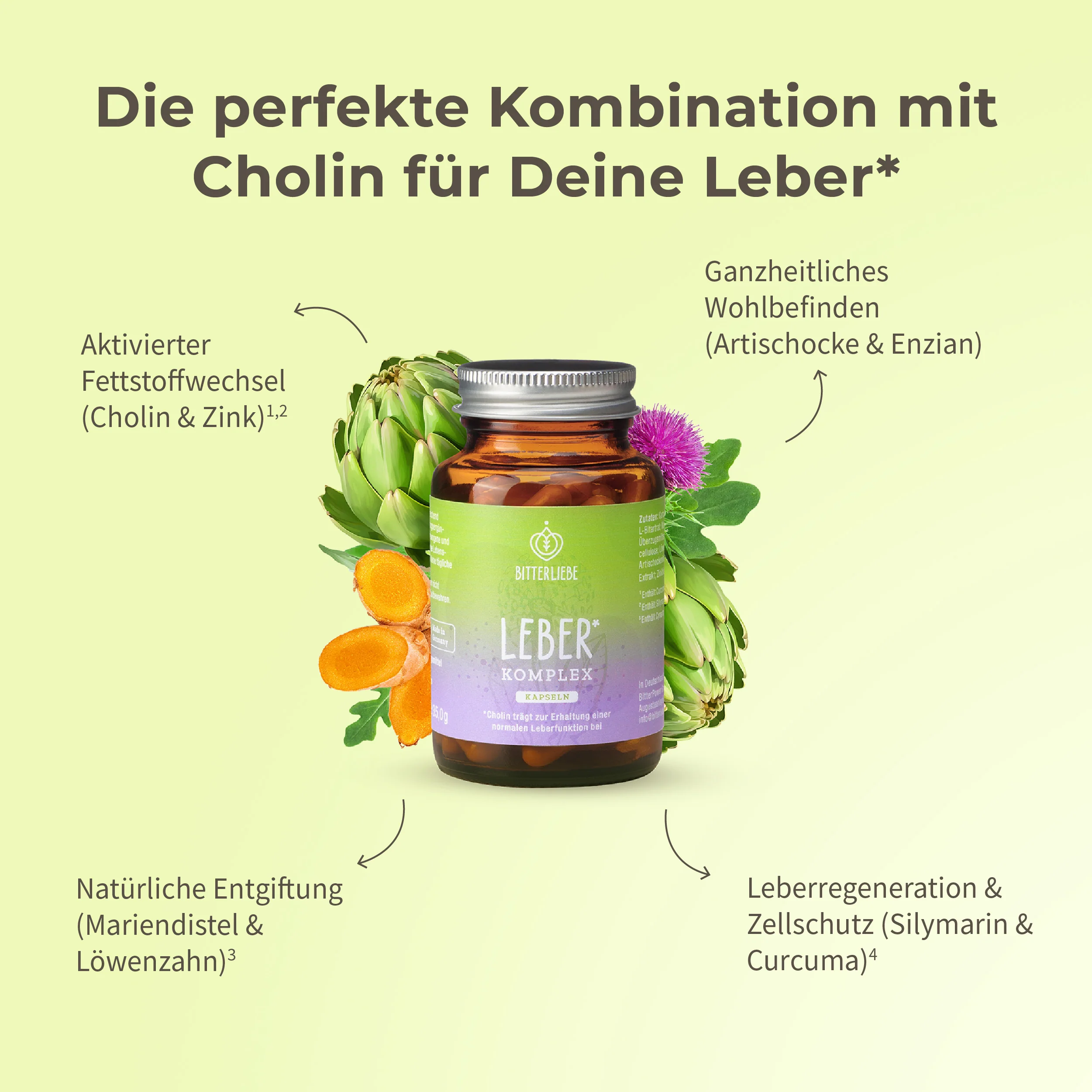 Leber* Komplex Kapseln - Image 3