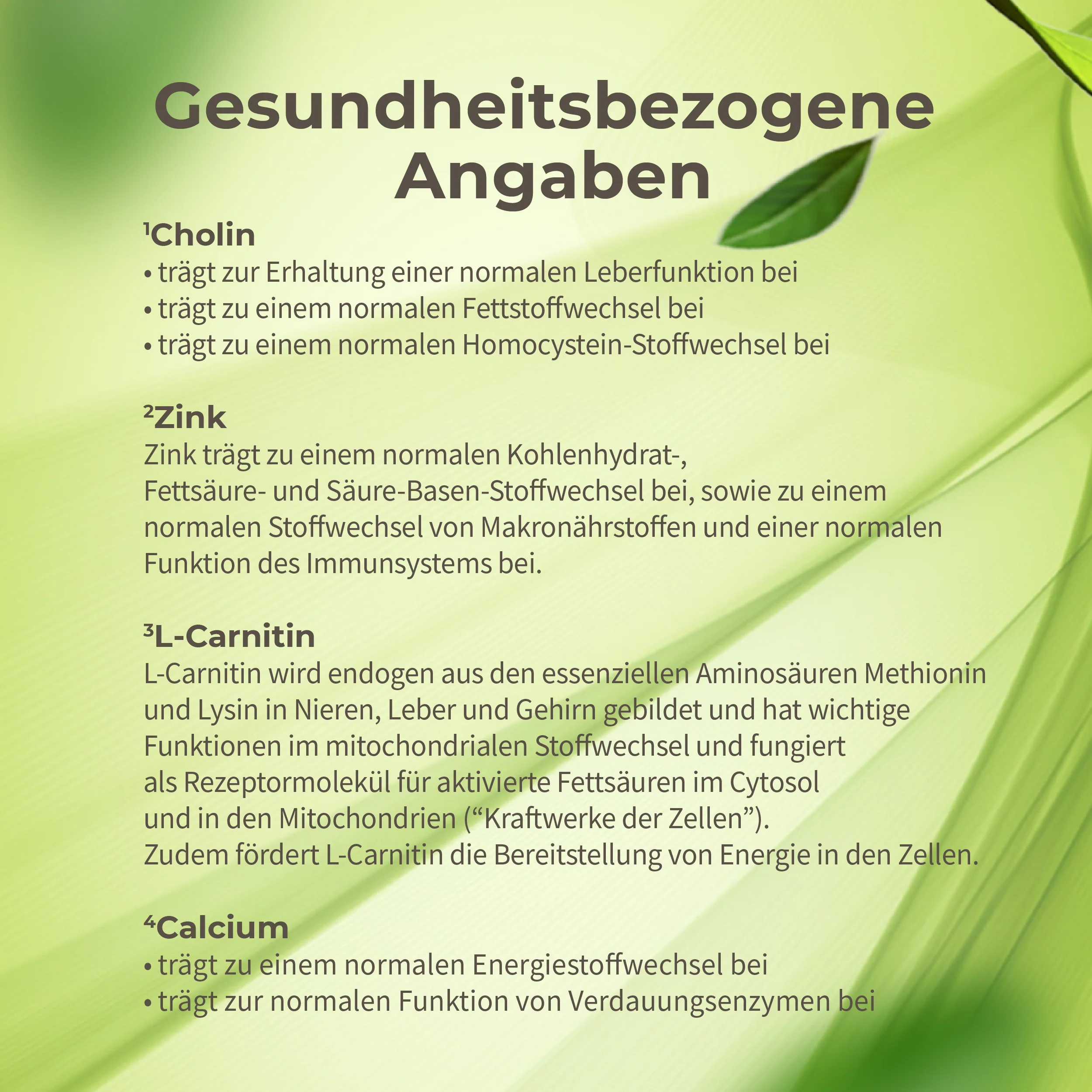 Leber Reset Paket - Image 12